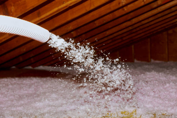 Best Commercial Insulation in Mangonia Park, FL