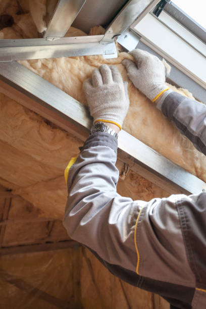 Types of Insulation We Offer in Mangonia Park, FL